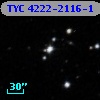 TYC 4222-2116-1