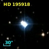 HD 195918