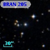 BRAN 205