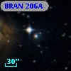 BRAN 206A