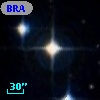 BRAN 210A