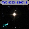 TYC 4223-1307-1