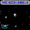 TYC 4223-1491-1
