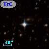 TYC 7685-1681-1