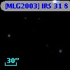 [MLG2003] IRS 31   8