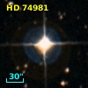 HD  74981