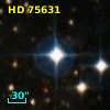 HD  75631