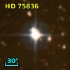 HD  75836