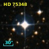 HD  75348