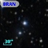 BRAN 183