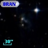 BRAN 207