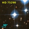HD  75290