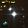 HD  75291