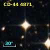 CD-44  4871