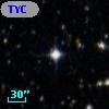 TYC 7687-403-1