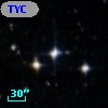 TYC 7687-442-1