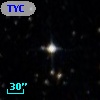 TYC 7687-833-1