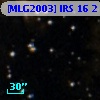 [MLG2003] IRS 16   2