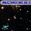 [MLG2003] IRS 16  17