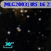 [MLG2003] IRS 16  21