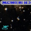 [MLG2003] IRS 16  24