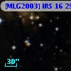 [MLG2003] IRS 16  25