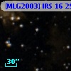 [MLG2003] IRS 16  29