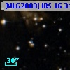 [MLG2003] IRS 16  31