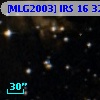 [MLG2003] IRS 16  32