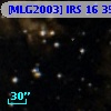[MLG2003] IRS 16  35