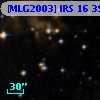 [MLG2003] IRS 16  39