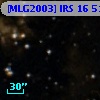 [MLG2003] IRS 16  51