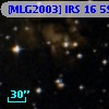 [MLG2003] IRS 16  59