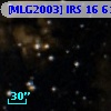 [MLG2003] IRS 16  61
