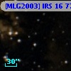 [MLG2003] IRS 16  77