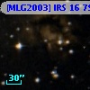 [MLG2003] IRS 16  79