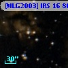 [MLG2003] IRS 16  80
