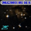 [MLG2003] IRS 16  81