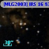 [MLG2003] IRS 16  83