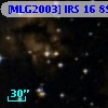[MLG2003] IRS 16  89