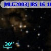 [MLG2003] IRS 16 100