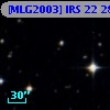 [MLG2003] IRS 22  28