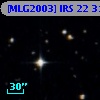 [MLG2003] IRS 22  31