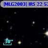 [MLG2003] IRS 22  52