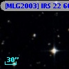 [MLG2003] IRS 22  60