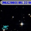 [MLG2003] IRS 22  80