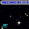 [MLG2003] IRS 22  84