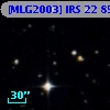 [MLG2003] IRS 22  85