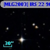 [MLG2003] IRS 22  90