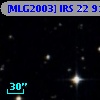 [MLG2003] IRS 22  91